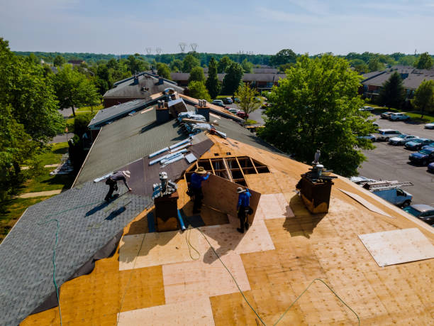 Trusted Roof Inspection service in Blue River, OR - Brentwood Metal Roofing